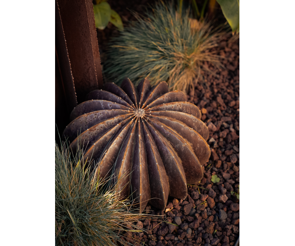 Boule cactus Ø 40cm