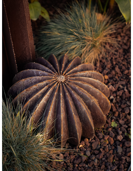Boule cactus Ø 40cm